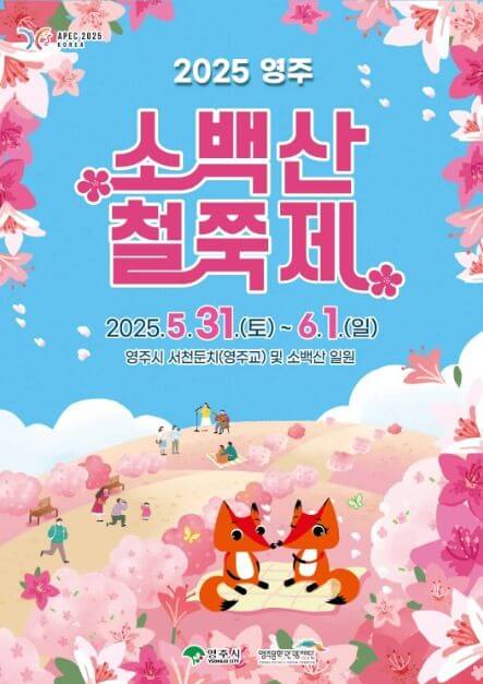 2025년 6월 경상도 축제, 행사(청도, 포항, 칠곡, 영주)