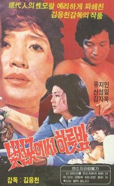 낯선 곳에서 하룻밤 (1980) 포스터