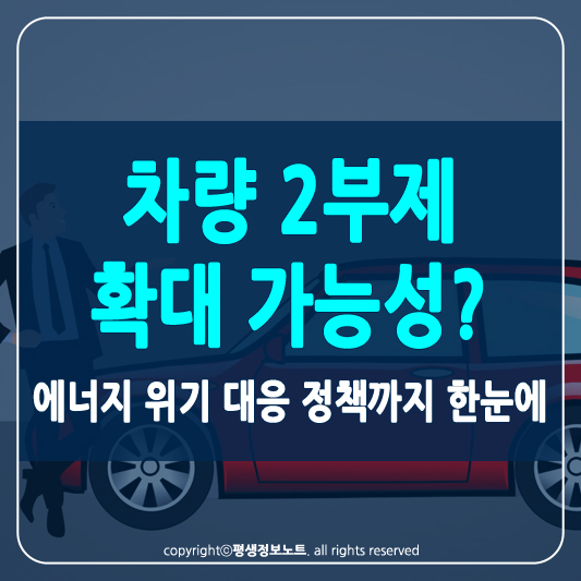차량 2부제 썸네일