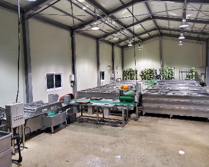 농부삼촌영농조합법인 해남배추