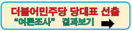 당대표선출 여론조사보기