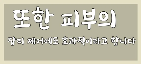  또한 피부의 잡티 제거에도 효과적이라고 합니다