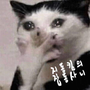 지동킴