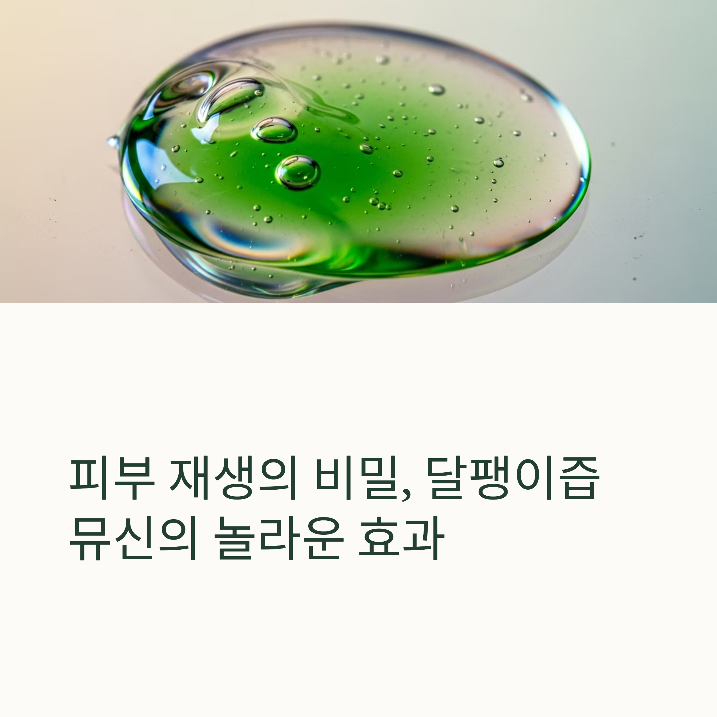 피부 재생의 비밀, 달팽이즙 뮤신의 놀라운 효과