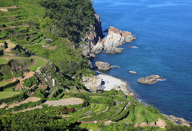 남해 다랭이마을 수국길