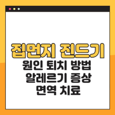 `집먼지 진드기`, `집먼지 진드기 알레르기`, `집먼지 진드기 가려움`, `집먼지 진드기 물린 자국`, `집먼지 진드기 퇴치`, `알레르기 면역 치료`, `집먼지 진드기 제거 방법`, `집먼지 진드기 스프레이`, `집먼지 진드기 증상`, `집먼지 진드기 원인`