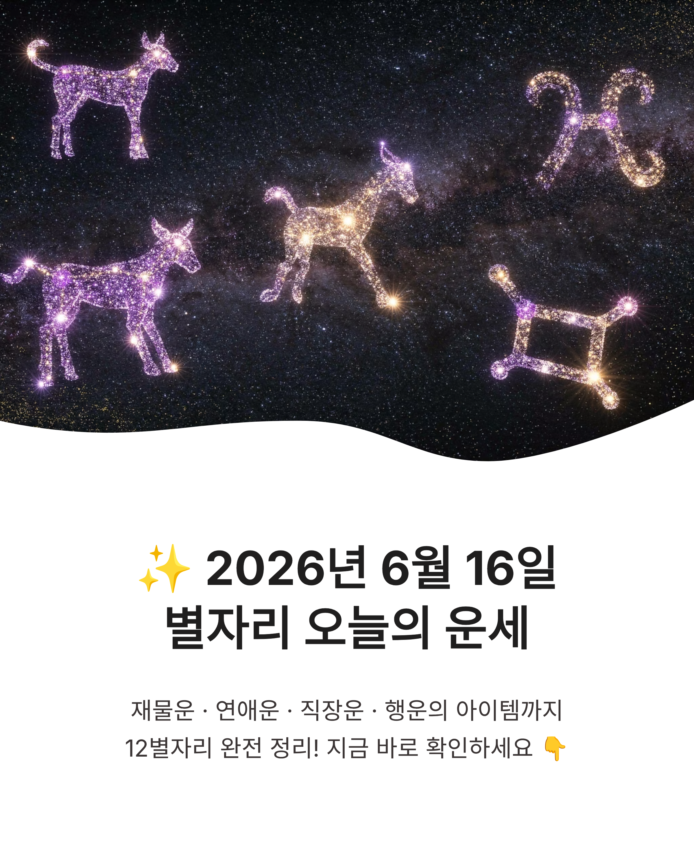 6월 16일 별자리 오늘의 운세