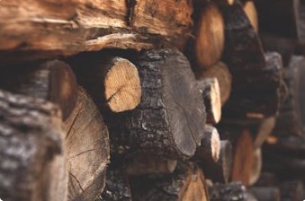 임업 직불금 신청 방법 관련 사진