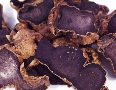 파비플로라-효능