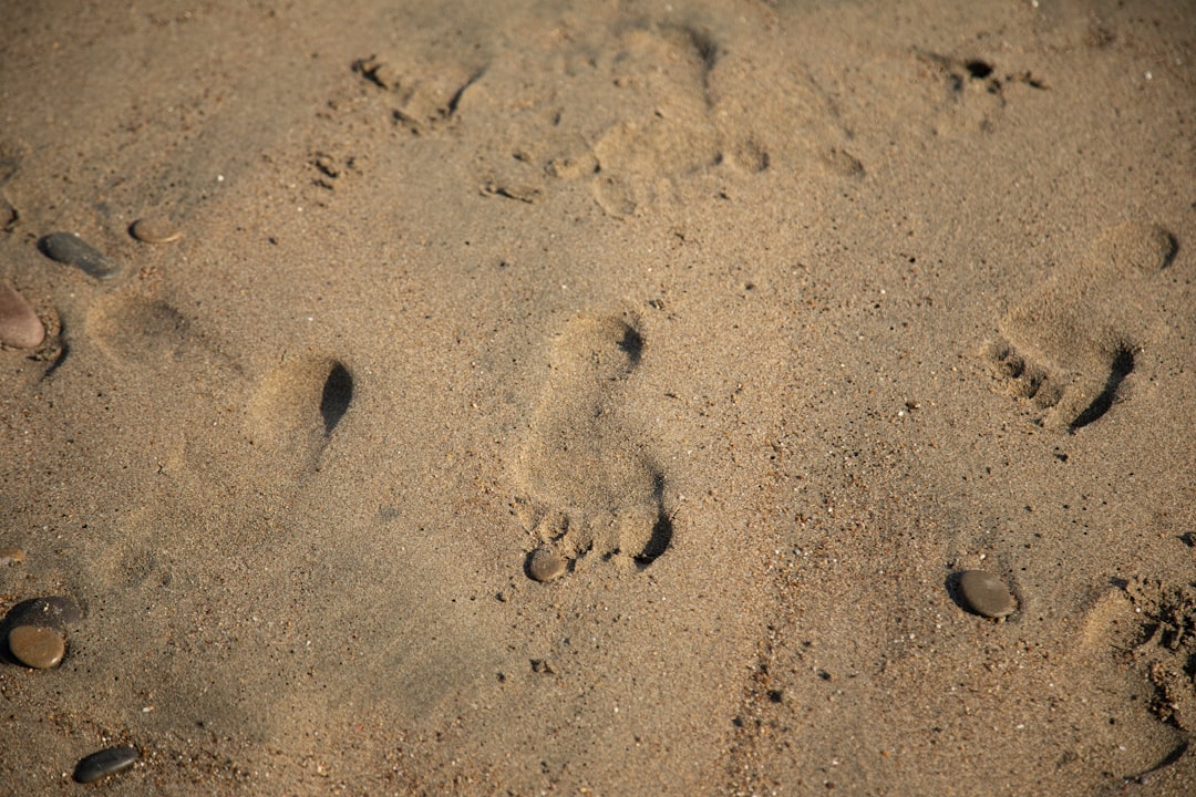 Step