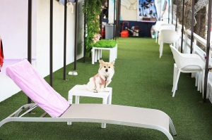 청도 프로방스 푸드 zone 프로방스 카페 모습