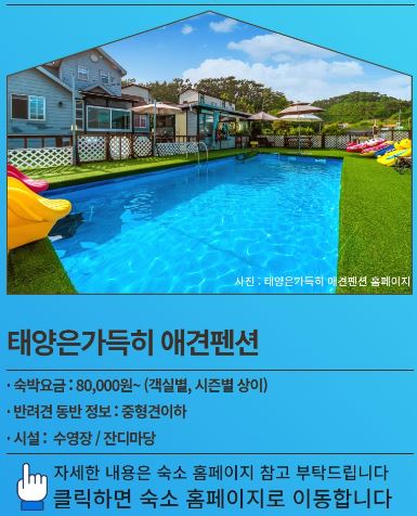 태양은 가득히 페션