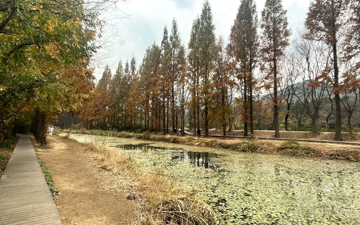 2025 건강도시 스탬프 투어