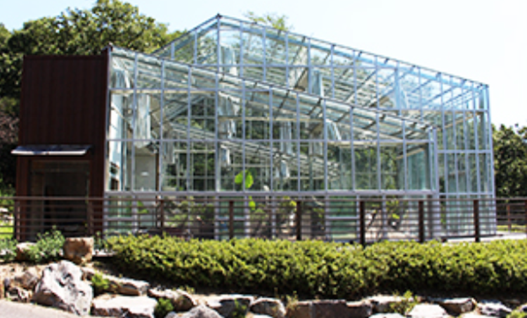 강화 자연휴양림