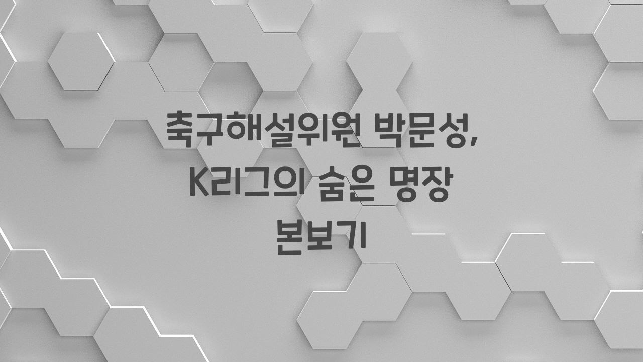 축구해설위원