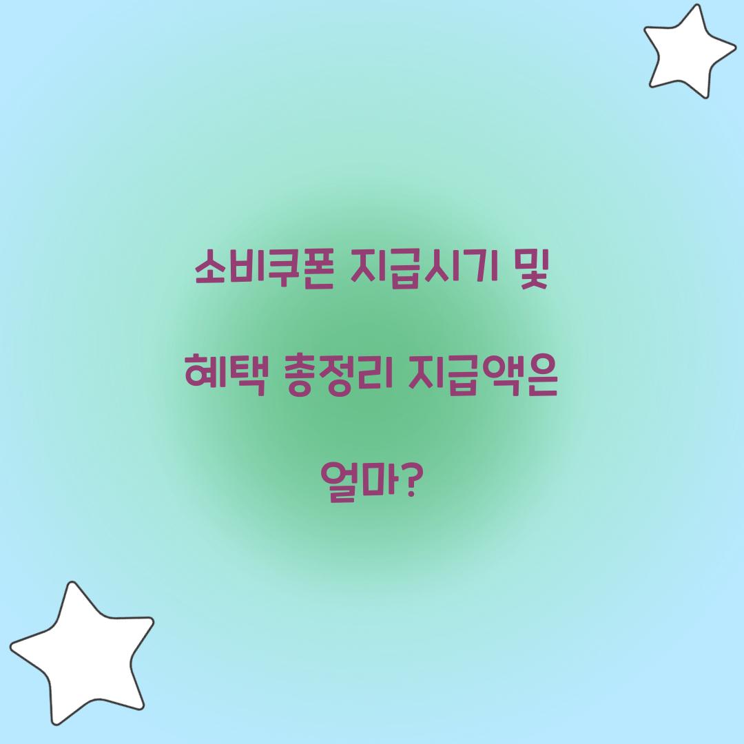 소비쿠폰 지급시기