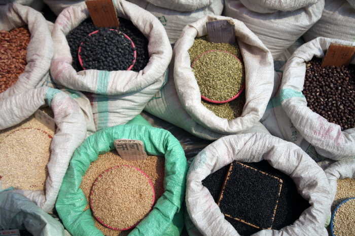 ์ํ ์ค์ผ์ฅ ์ ํต์์ฅ ์ฌํ ๋จน๊ฑฐ๋ฆฌ ํน์ฐ๋ฌผ ๋ฐฉ๋ฌธ 5์ผ์ฅ ์ฃผ์ฐจ