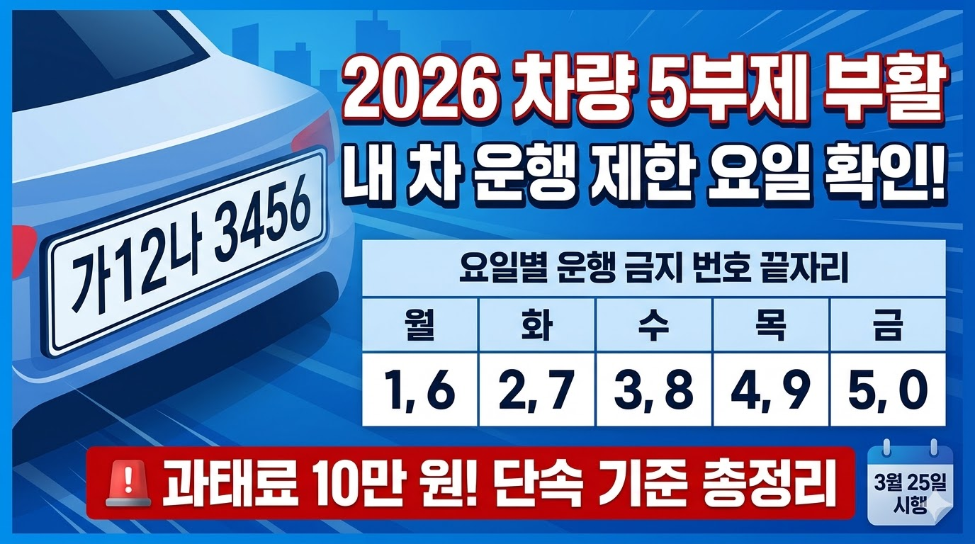 공공기관 차량 5부제 의무화 총정리｜요일제 기준&middot;적용 대상&middot;위반 시 징계&middot;실생활 영향까지 완벽 정리