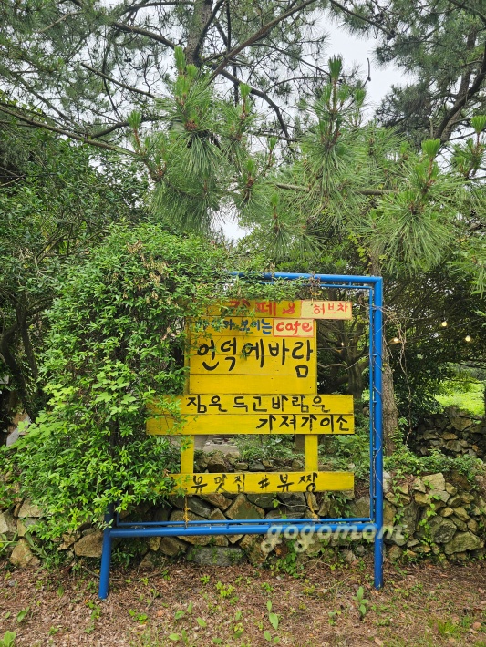 언덕의바람
