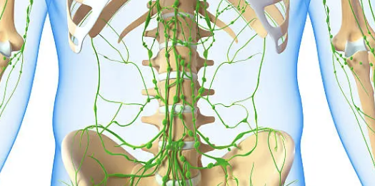 백혈병 초기증상 28