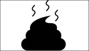 똥에 빠지는 꿈