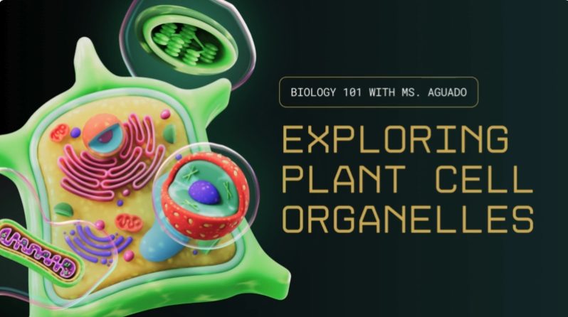 인체의 신진대사와 관련된 이미지입니다