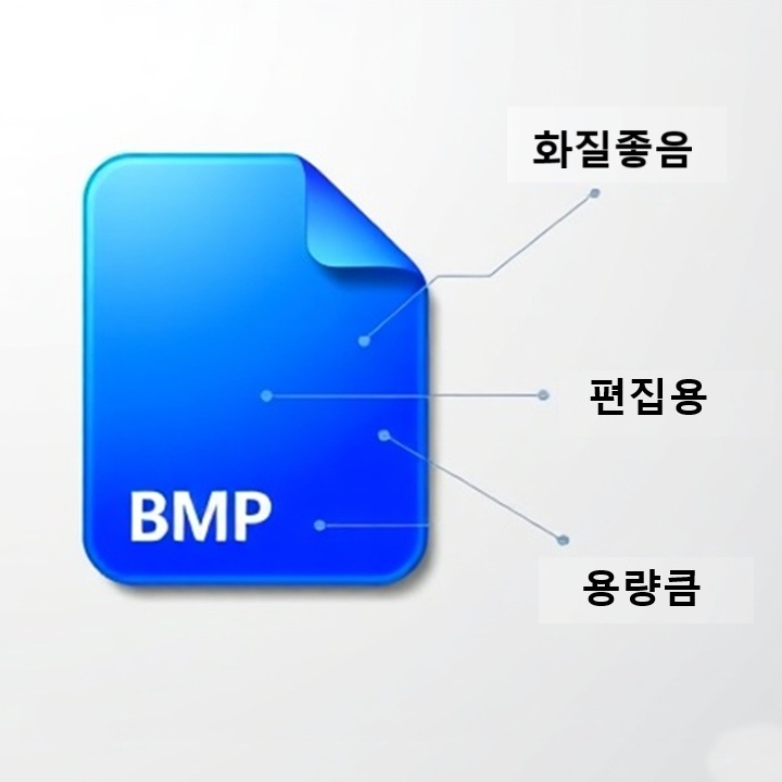BMP라는 글자와 특징에 대해 기재되어있음
