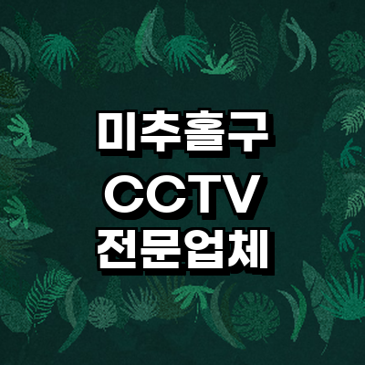 인천 미추홀구 cctv