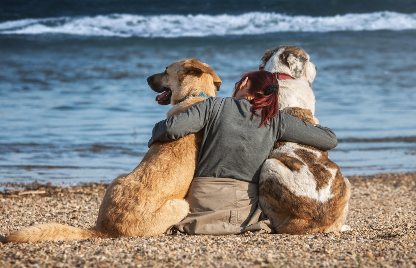 신뢰를 형성하는 심리학적 방법 – 관계에서 믿음을 쌓는 기술