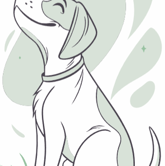 강아지 나이 계산법 완벽 정리 1