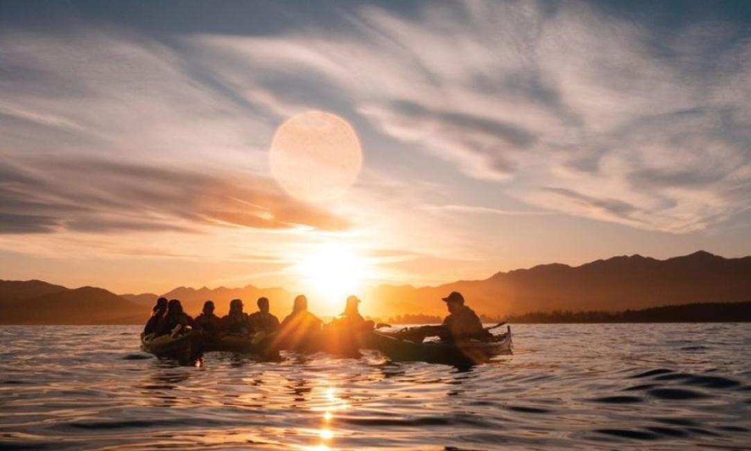 케골드 (Kaikoūra)