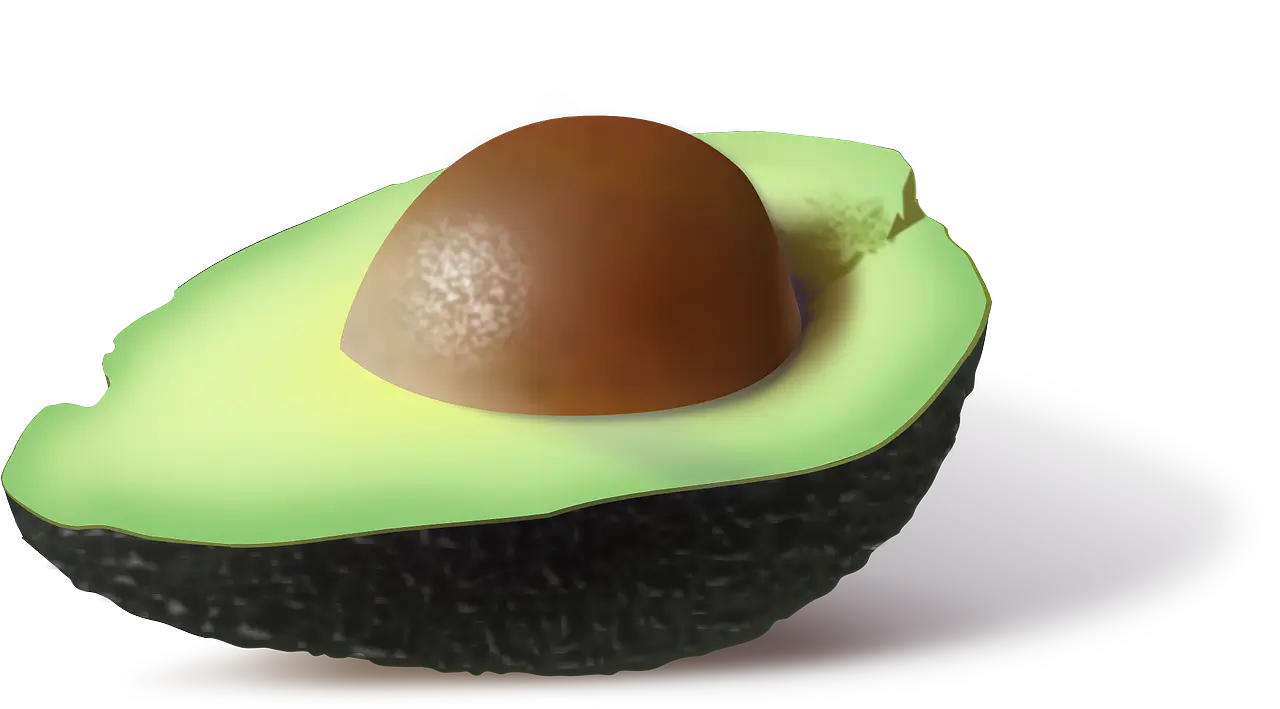 아보카도
