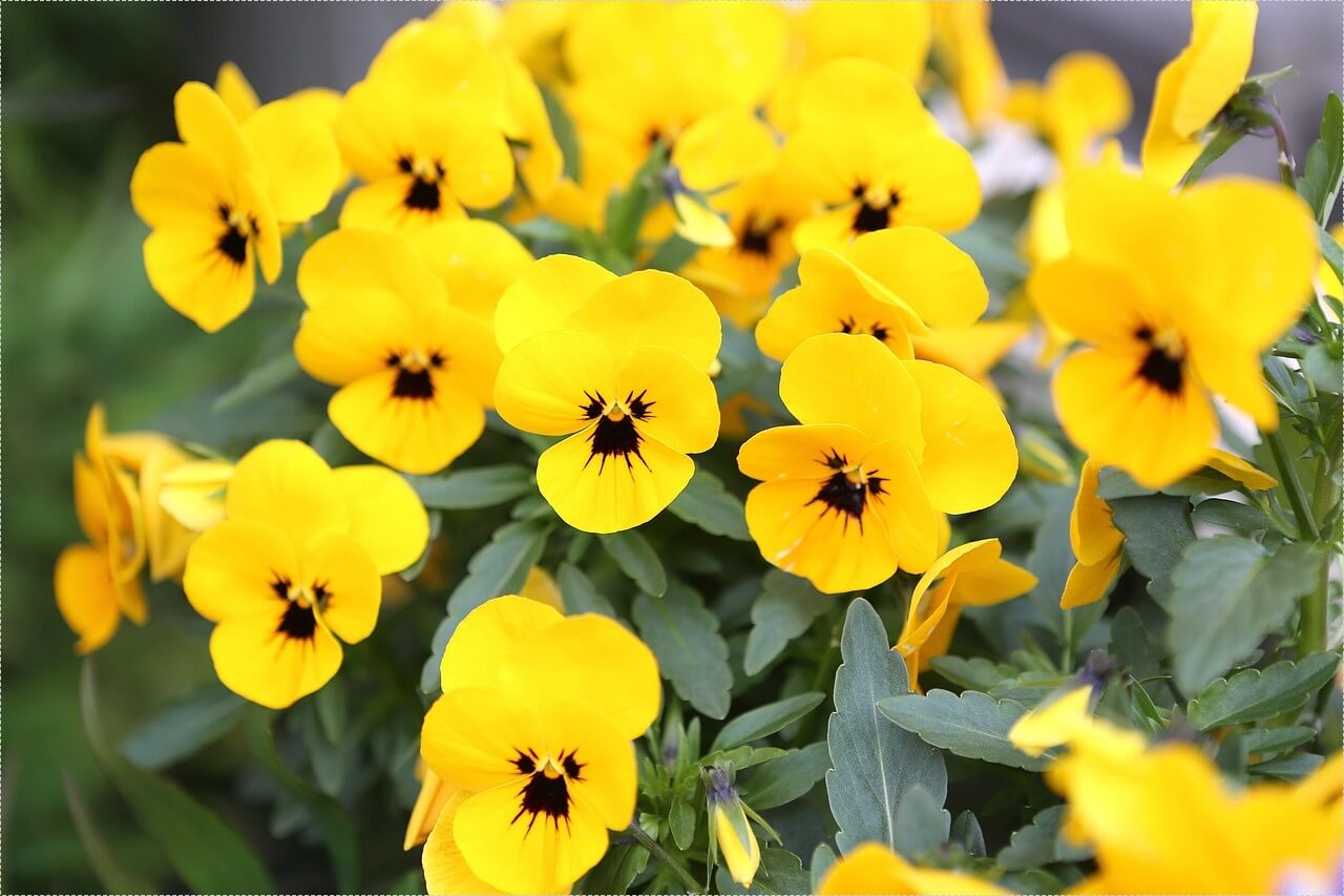 하나은행 정기예금 금리