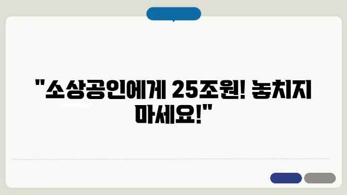 정부의 소상공인·자영업자 맞춤형 대책 25조원 규모 지원