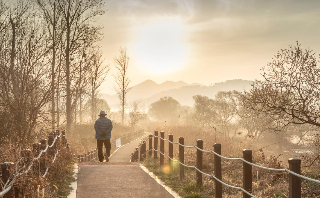 산책길을 걷고 있는 노인의 뒷모습