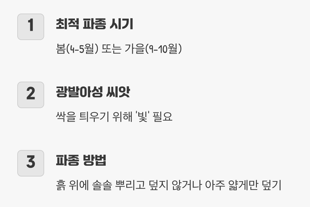 빛을 기다리는 씨앗, 파종의 비밀