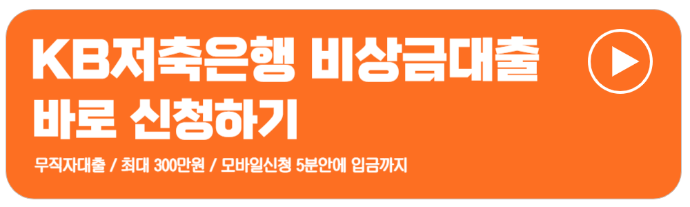 비상금대출중복