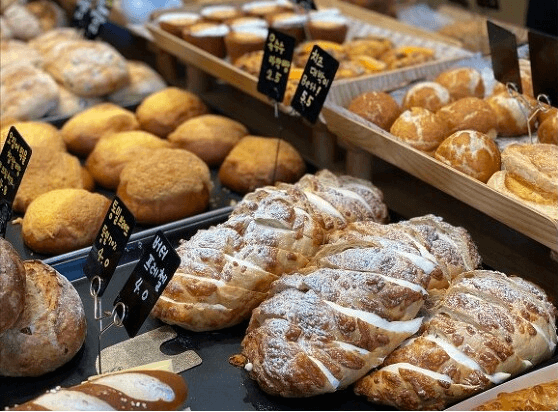 구리코스모스축제-한강예술제-자전거대여 빌려타기-근처맛집-2023년.총정리