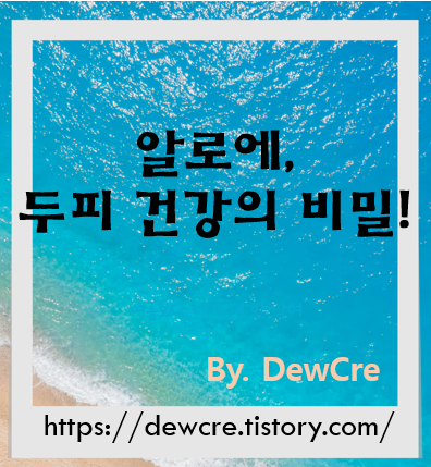 가려움과 각질에 끝! 건강한 두피를 위한 알로에 활용법