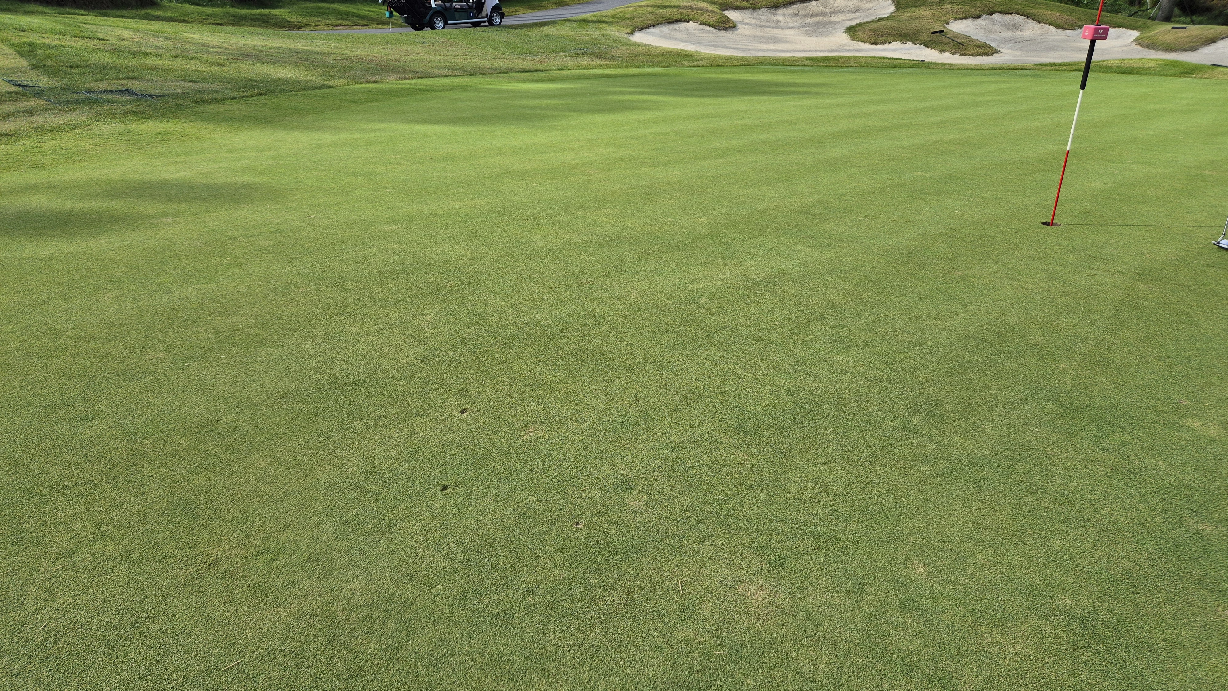 오로라cc 그린 관리 상태