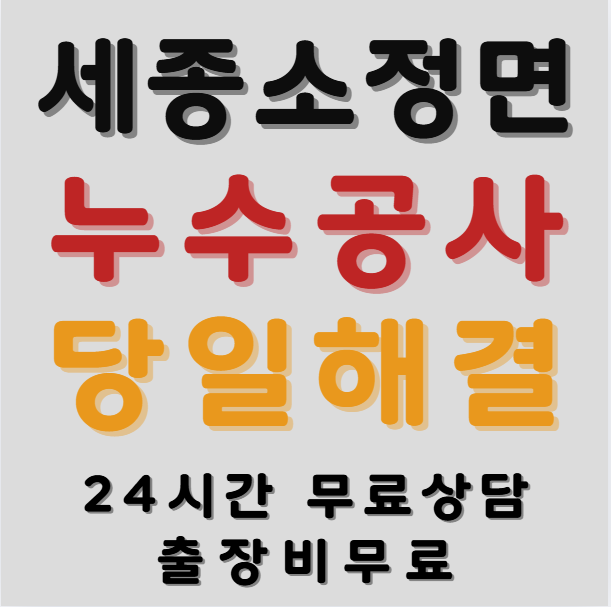 소정면 아파트와 주택1