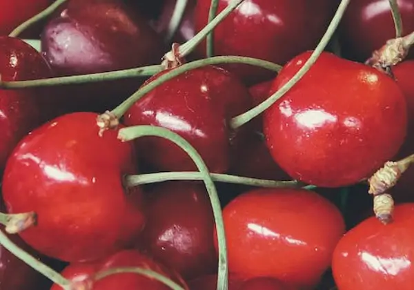 빈혈-좋은음식-체리