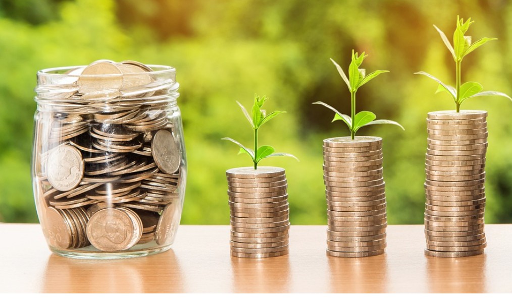 동전에서 싹이 나고 있는 모습