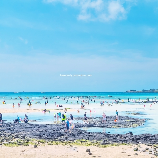 8월 제주도 가볼만한곳 10곳