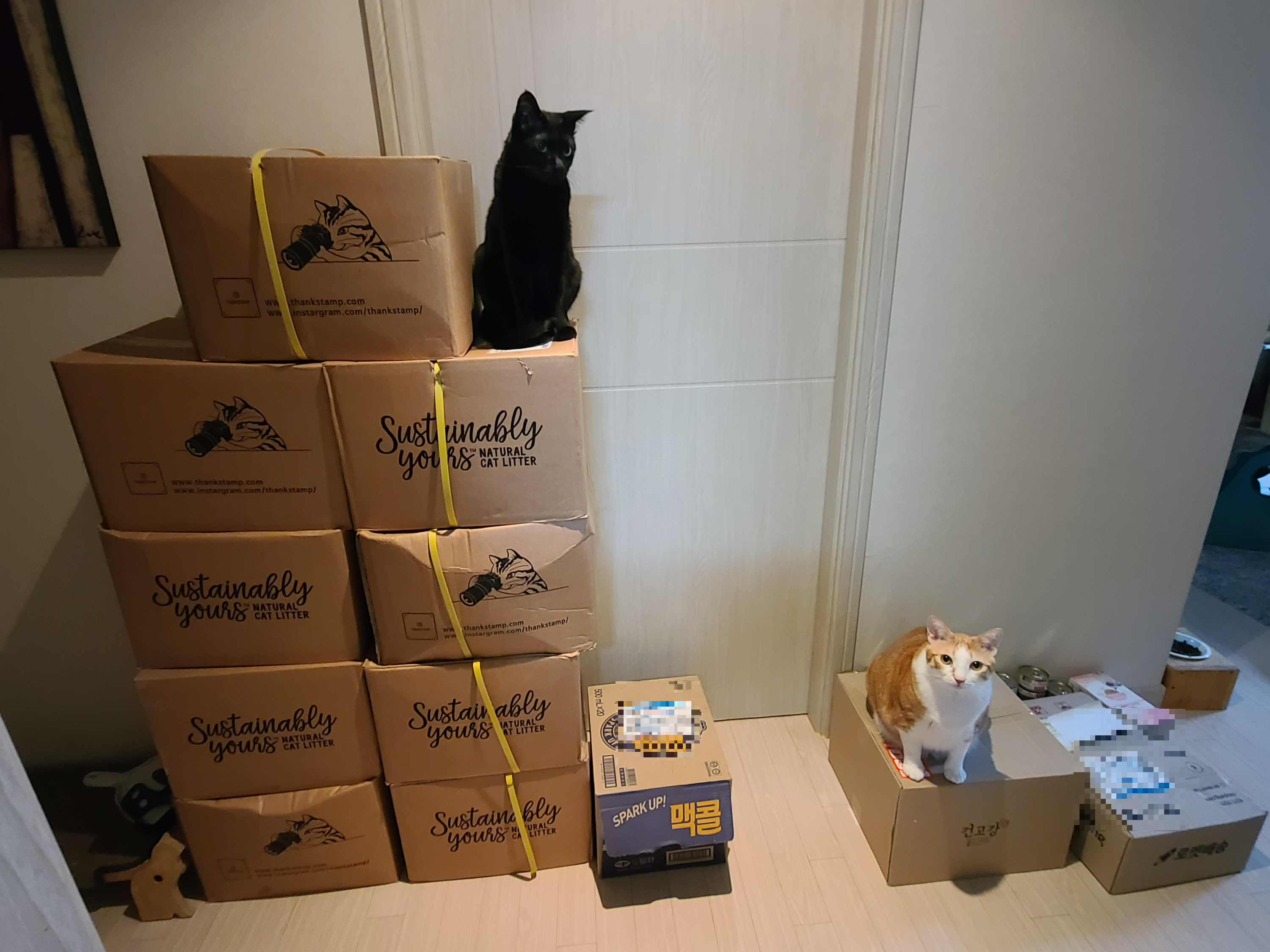 늘 함께하는 사이좋은 호야랑 건이