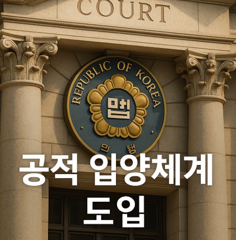 공적 입양체계의 도입 의미