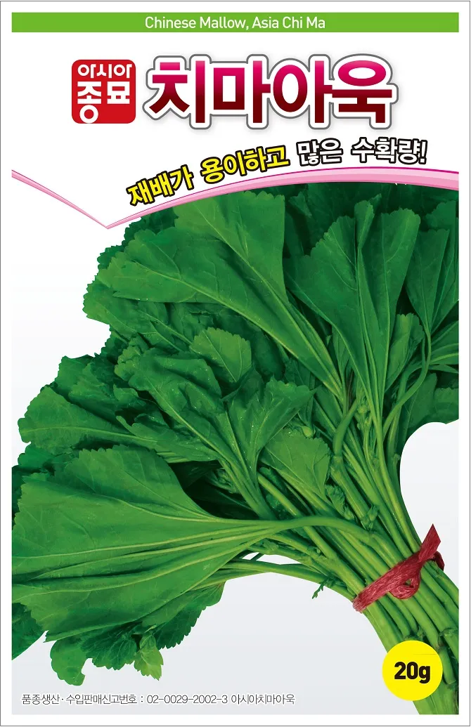 아욱 재배 텃밭 초보 직파 심기 병충해 적음_5