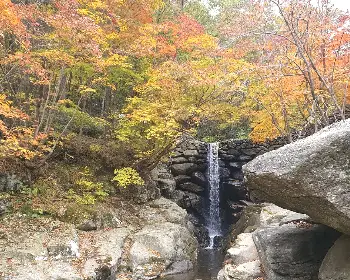 하동 삼성궁_19
