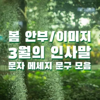 3월 인사말 모음 예시 문자_26