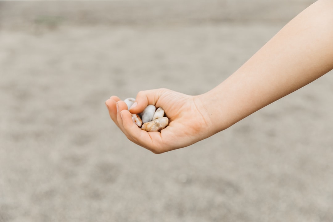 support fund